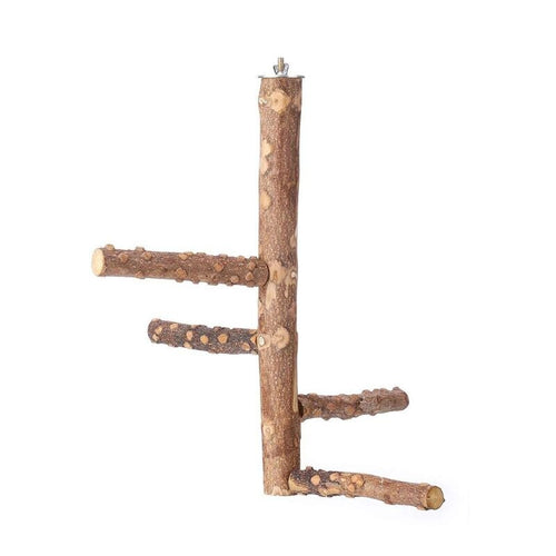 Small Medium Parrots Bird Perch Wood Stand Chew Bite