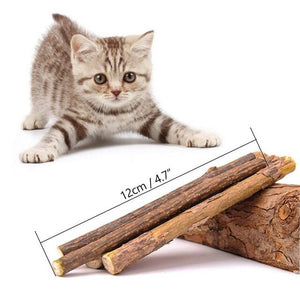 100Pcs/lot Natural Matatabi Catnip Toy Wood Pet Cats Toy Cat's Molar Toothpaste Branch Cleaning Silvervine Cat Snacks Sticks